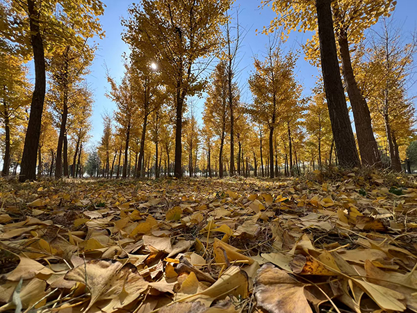 URE-2000S/34型版本升级！